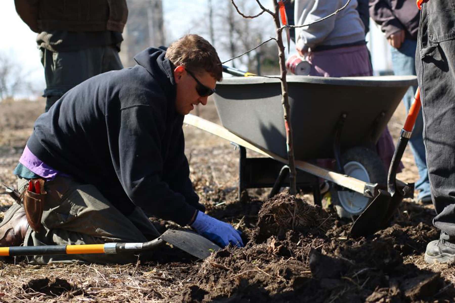 Victory Garden Initiative Celebrates Urban Orchards The
