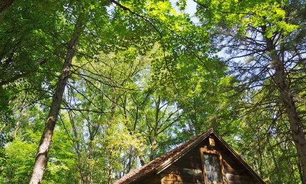 Reflections on Girl Scout camp in 1967