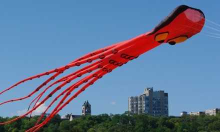 Flying High On Milwaukee’s Lakefront