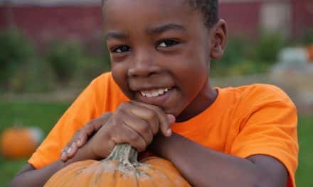 Pop-up pumpkin patch brings Halloween to North Avenue kids