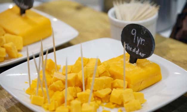 Flavors of Fall coming to Wehr Nature Center with cheese tasting
