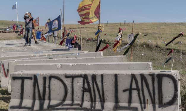 Photo Essay: Overpass Light Brigade at Standing Rock