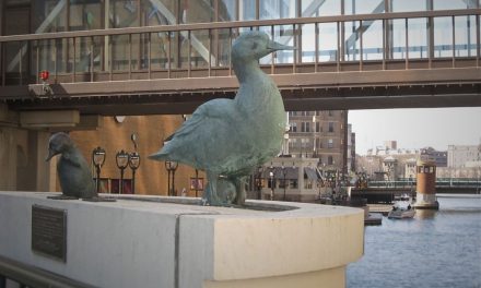 Milwaukee Notebook: Gertie the Duck