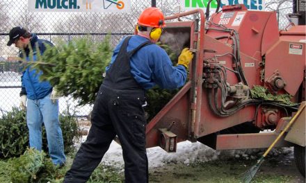 Mulchfest 2017 to save landfill space from holiday waste