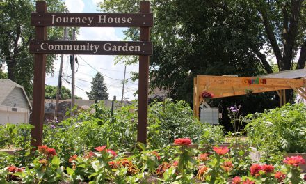 Journey House transforms Clarke Square with Community Garden