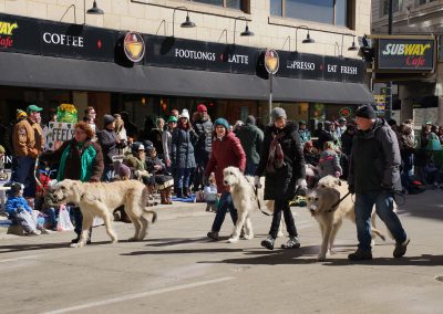 031117_stpatricksdayparade_1364