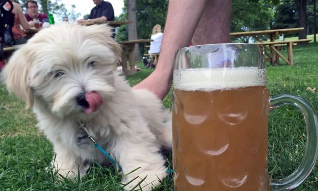 Beer Garden profits help fund Humboldt Park repairs