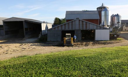 Trump policies impacting Dairyland with exodus of migrant farmers