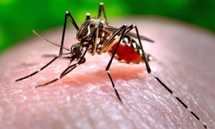 Summer brings West Nile virus warning to Milwaukee