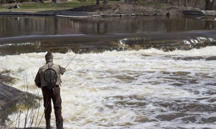 Multi-use recreational trail proposed for Milwaukee River Parkway