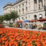 Photo Essay: Global PARK(ing) Day brings green spaces to urban landscape