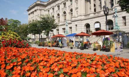 Photo Essay: Global PARK(ing) Day brings green spaces to urban landscape