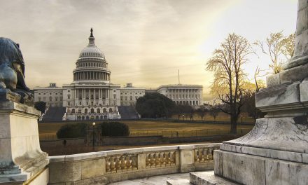 Senator Chris Murphy: Congress more afraid of NRA benefactors than gun epidemic