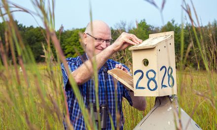 Peter Dunn: Unlocking avian genetics for the secret of disease immunity