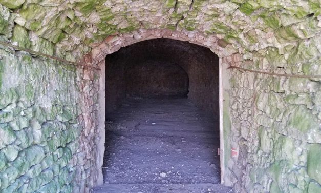 Hidden beer cave from the 1840s still survives today