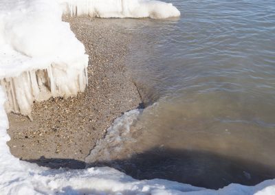 010118_polarplunge_0332