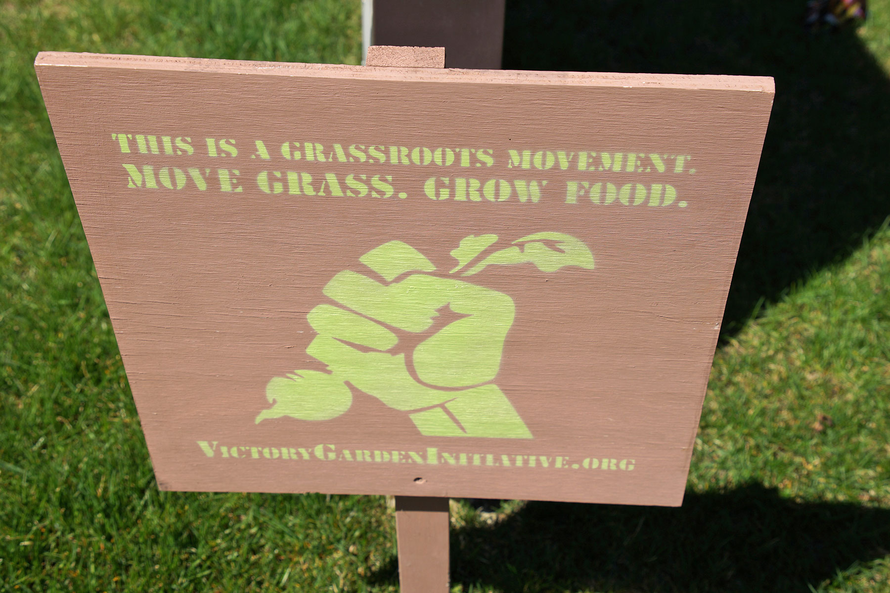 Victory Garden Initiative Sees Fruits Of Its Community Mission