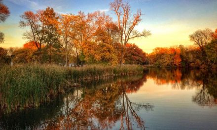 Restoration to begin on Humboldt Park’s 125 year-old lagoon