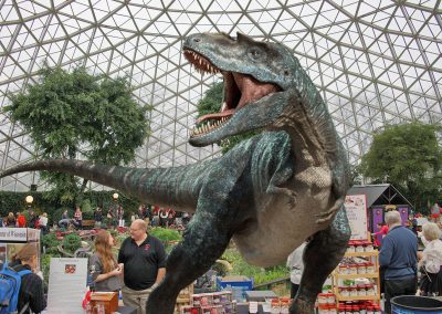 03_012316_polishdomes_292-dino