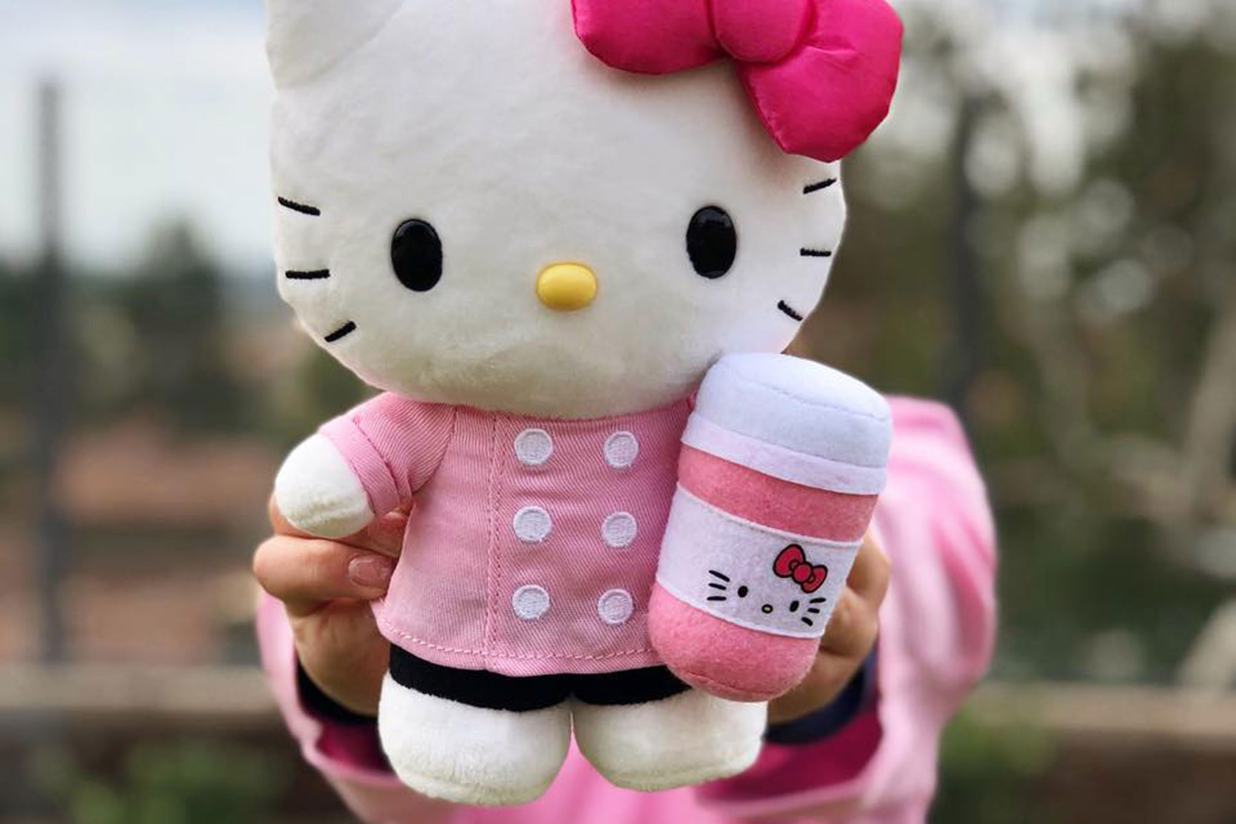 Hello Kitty Cafe Truck headed to Wauwatosa with limited-edition