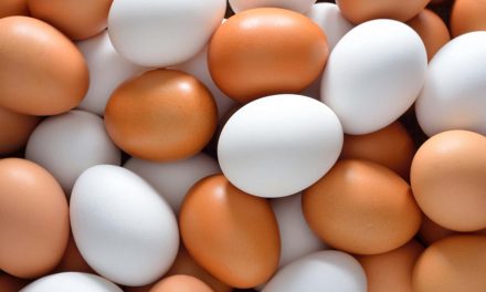 The Chicken or the Egg: How Changing Racist Attitudes Leads to Changing Racist Institutions