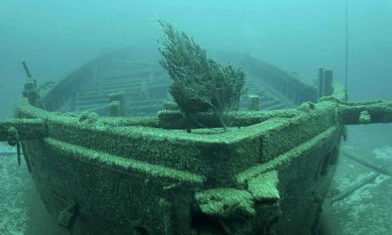 Christmas Tree Ship: The final voyage of the Rouse Simmons on Lake Michigan