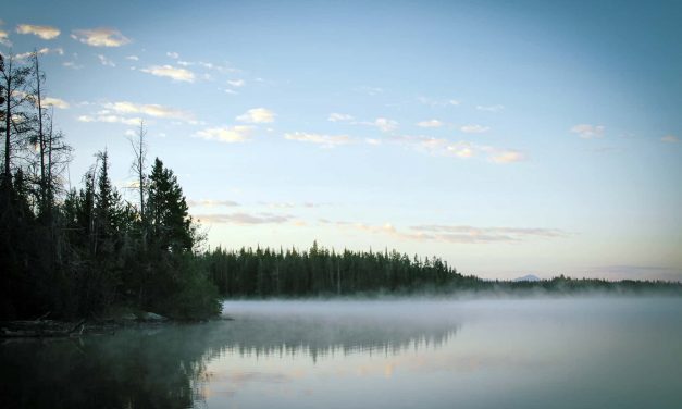 Wisconsin Supreme Court to decide future of State’s clean water in high stakes challenge