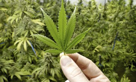 The Cannabis Question: Marijuana advocates in Wisconsin face legalization hurdles