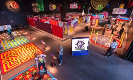 Discovery World constructs mind-boggling puzzles in new exhibit with mazes and brain games