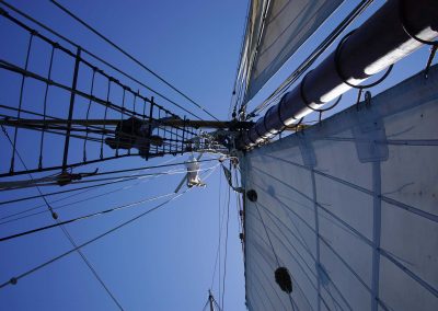 060719_lazydaysail_1956