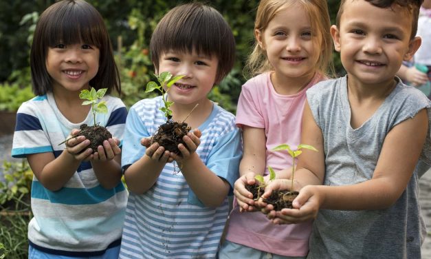 Teens Grow Greens partners with Outpost Natural Foods to launch MyPlant for Kids program