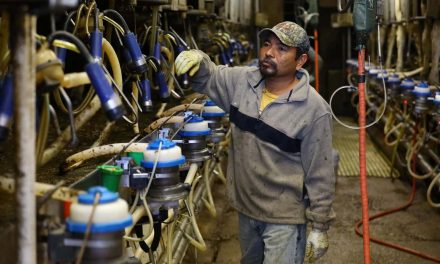 Study finds high paying jobs continue to elude Hispanic workers in Milwaukee
