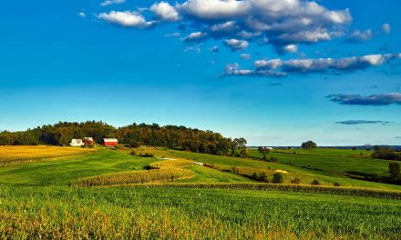 Casualties of Trump’s Trade War: China tariffs push Wisconsin farmers to brink of financial ruin