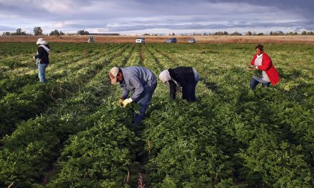 How Wisconsin can prosper by adopting an inclusive approach to undocumented immigrants