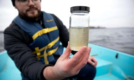 Great Lakes freighters may be required to treat ballast water to halt spread of invasive species