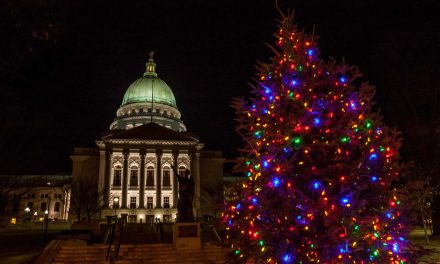 Legislators make time to debate “Holiday Tree” name but none for gun safety to save children