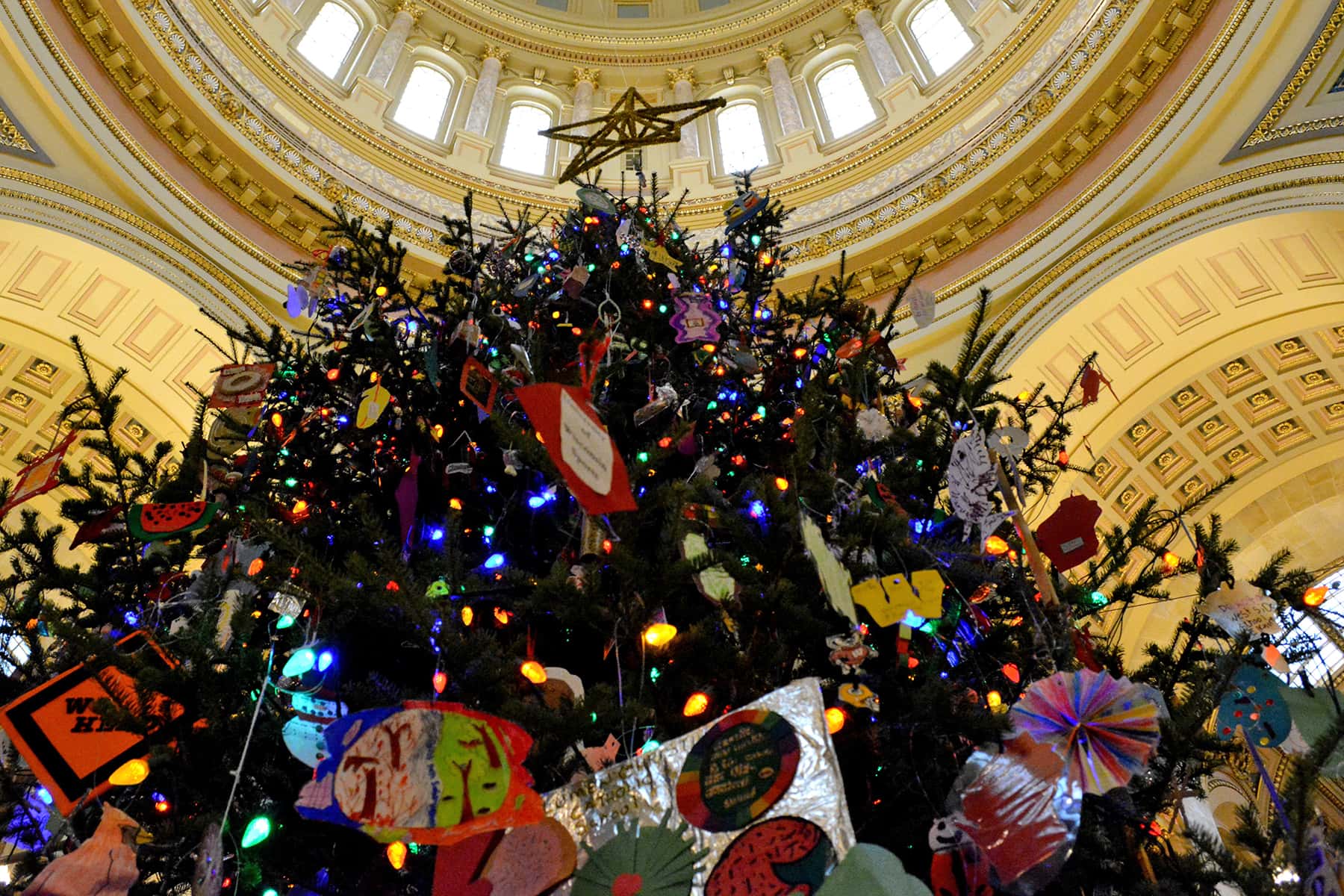 111719_capitoltree_02