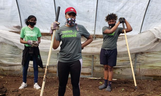 Black Lives Matter: Teens Grow Greens nurtures more than just plants