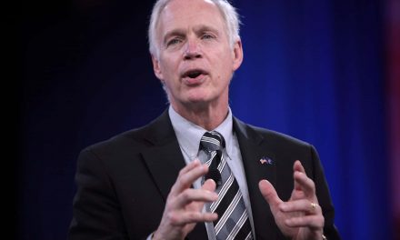 Senator Ron Johnson is playing the fool on Trump’s behalf in order to wreck the Postal Service