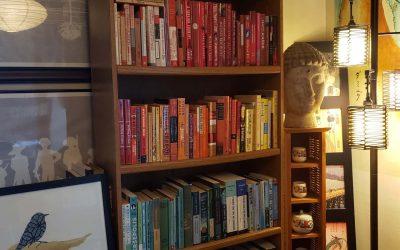 We Need Imagination: A glance at my 2020 bookshelf