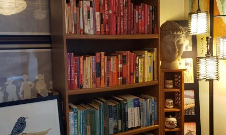 We Need Imagination: A glance at my 2020 bookshelf