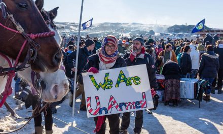 Unequal Justice: Standing Rock activists react to passive response by police during Capitol Insurrection