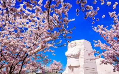 Un-Whitewashing MLK: Seeing a true legacy that heroification has kept long hidden