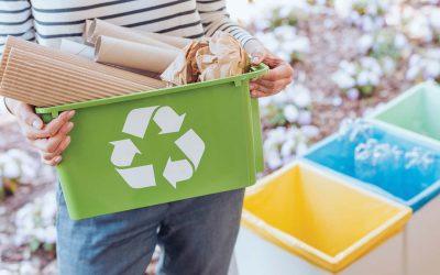 Wisconsin developer creates mobile app that teaches people how to recycle and track their composting