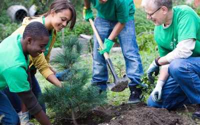 Measuring Equity with Urban Forests: How planting trees helps build prosperous and healthy communities