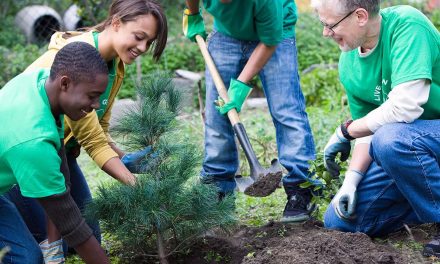 Measuring Equity with Urban Forests: How planting trees helps build prosperous and healthy communities