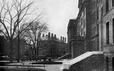 Collecting Black Bodies: How academic curiosity left universities with the remains of enslaved people