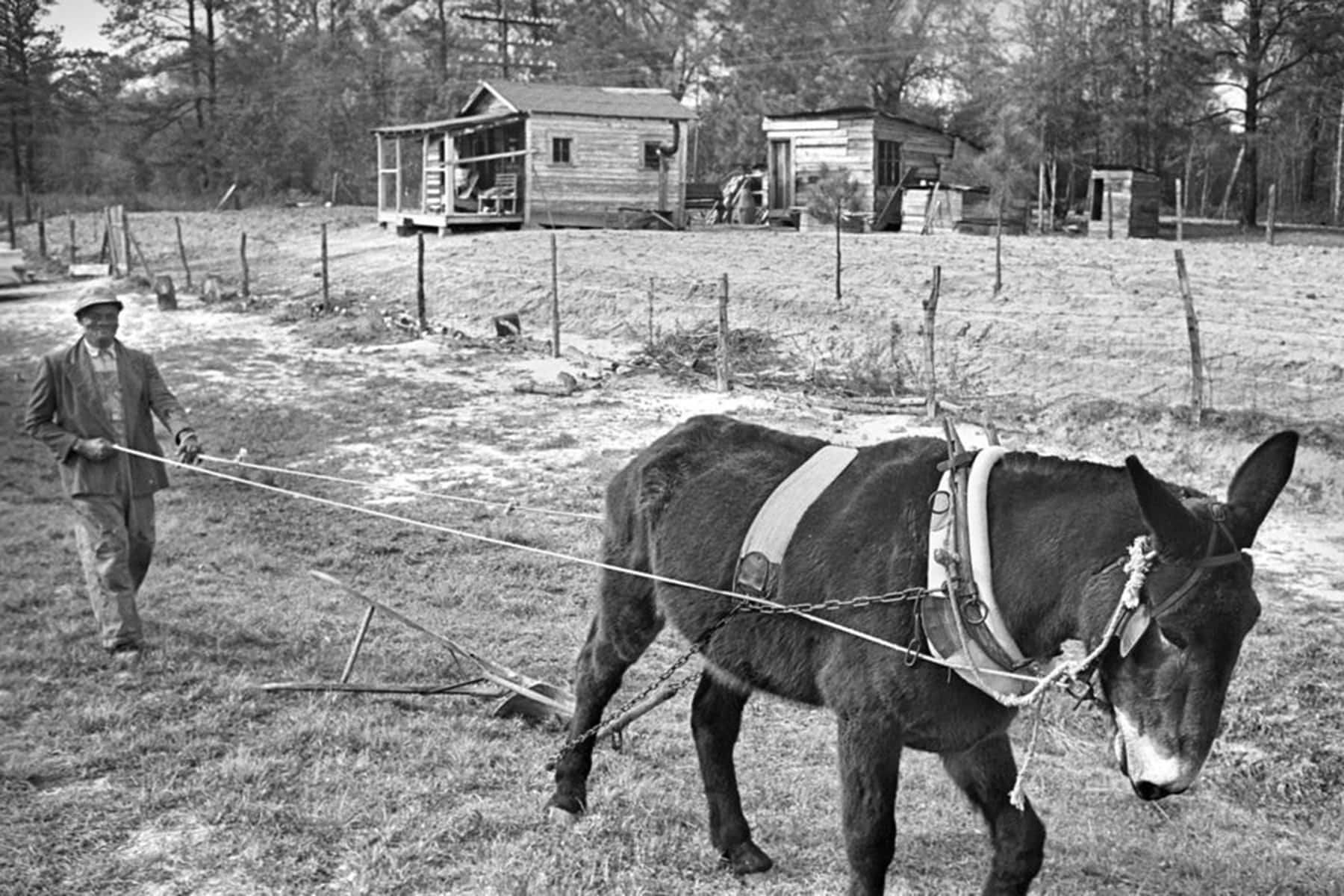 Reparations 101 Repairing the damage from generations of concentrated disadvantage Milwaukee Independent image photo