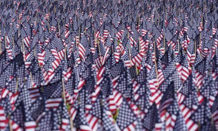 A Field of Flags: Milwaukee’s War Memorial Center honors fallen soldiers with 7,056 flags