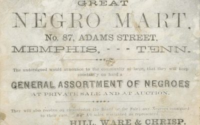Indifference to suffering: Why the trade of enslaved people has been whitewashed from American history